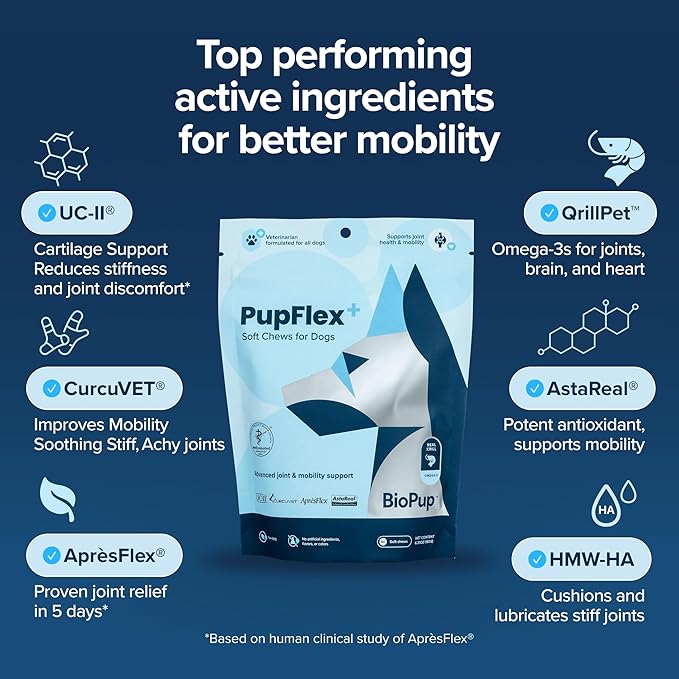 PupFlex+ Hip and Joint Supplement Dogs, Vet Created Soft Chews with UC-II® Collagen for Dogs, CurcuVET® & Omega 3, Proven More Effective Than Glucosamine Chondroitin, Dog Joint Supplement (60 ct)