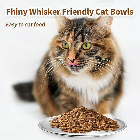 Fhiny 12 PCS Stainless Steel Cat Dish Set, 5.5", Wide Whisker Friendly Cat Bowls Shallow Kitten Feeding Plate Replacement Basic Small Pet Bowl Metal Flat Cat Dish for Stray Cats Dogs (5.5" Dia)