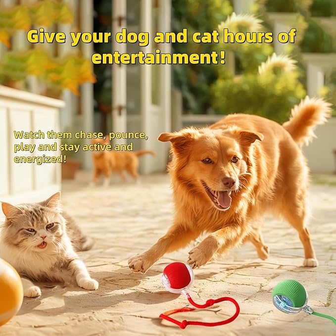 Interactive Dog Cat Toy Ball, Automatic Moving Bouncing Rolling, with Replacement Tail, Pet Smart Chase Ball Rechargeable, Enrichment Toys for Bored Indoor Adult Cats/Dogs (Green)