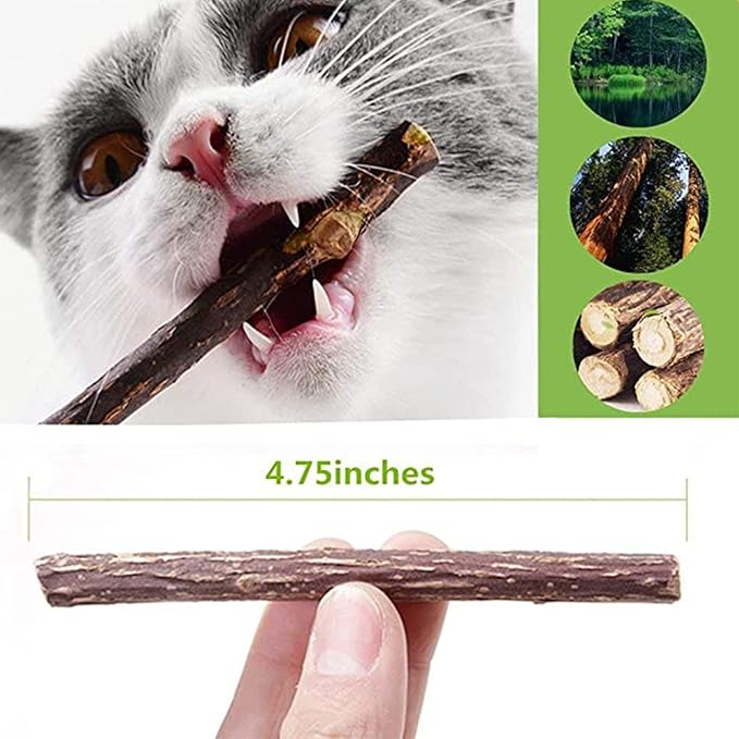 Ueerdand 50 PCS Catnip Sticks Organic Kitty Chew Toys Natural Plant Matatabi Silvervine Chew Sticks Kitten Teeth Cleaning Chew Toy