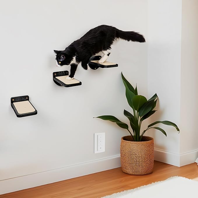 INICIO Cat Wall Stairs - Set of 3 Wall Steps for Cats to Climb with Fixtures, 9.3"x4.7" - Floating Steps for Climbing or Playing - for Kittens and Adult Cats, Black