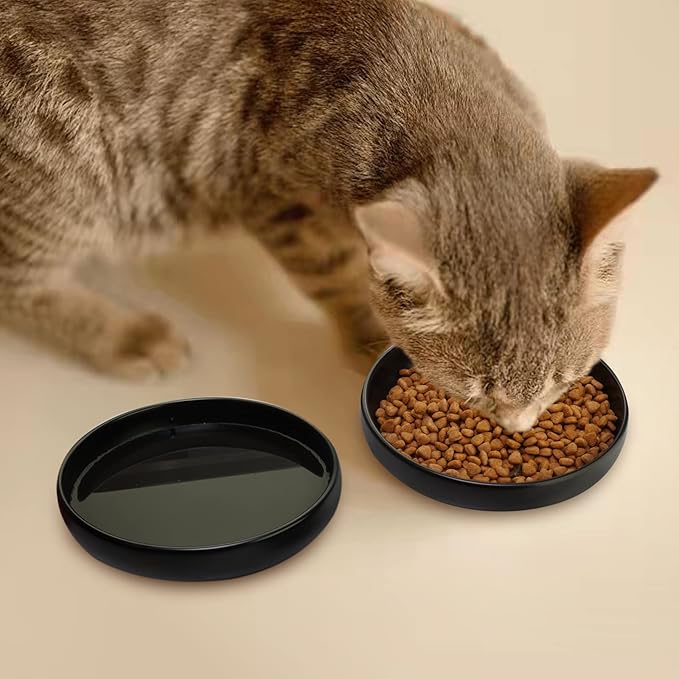 Ceramic Cat Bowls - Shallow Dishes for Food and Water, 6 Inch Matte Finish Wide Cat Food Bowl, Whisker Fatigue Free Pet Puppy Kitten Bowl Set of 3, Dishwasher Safe