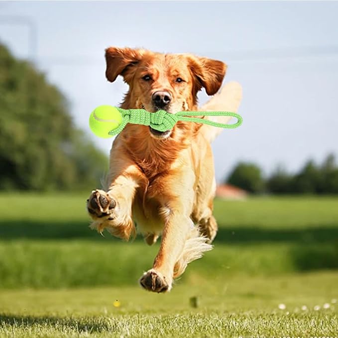 Dog Rope Toy for Medium and Small Dogs Interactive Puppy Toys Tug of War Rope Tether Tug Outdoor Dog Toy 1 Knot Puppy Teething Chew Cotton with Tennis Ball