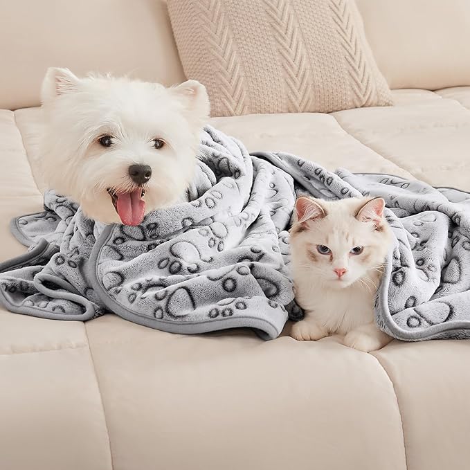 Luciphia 1 Pack 3 Blankets Fluffy Premium Fleece Pet Blanket Flannel Paw Printed Throw for Dog Cat Grey Paw Small(23"x16",Pack of 3)