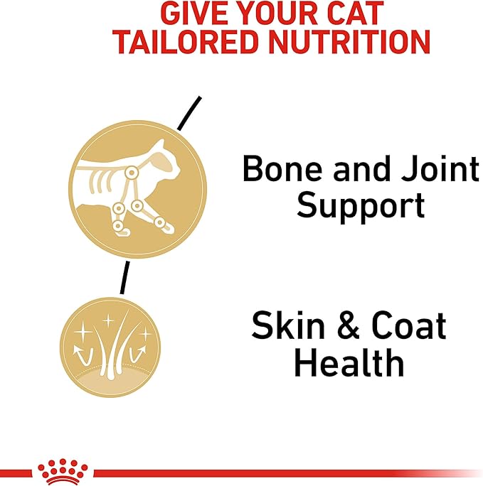 Royal Canin Maine Coon Adult Breed Specific Cat Food Thin Slices in Gravy, 3 oz can (6-Pack)