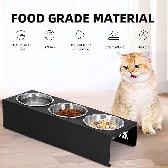 Elevated Cat Food Bowl,15°Tilted Stand Anti Vomiting Raised Cat Dishes for Food and Water,3 Stainless Steel Bowls,Non-Slip No Spill,Cats and Puppy