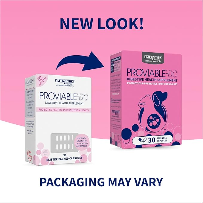 Nutramax Laboratories 30 Count Proviable Health Supplement for Cats and Dogs (PROVDC30)