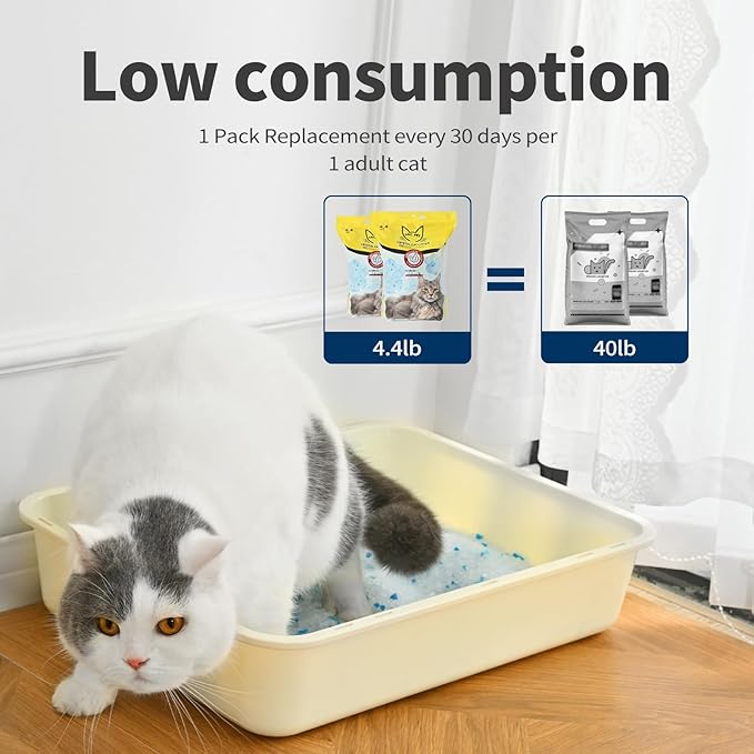 Cat Litter Crystals No Clumping Odor Control Kitty Litter Non-Clumping No scooping Low Dust, Low Tracking, Dehydrates Waste - 25.8 lbs (6 x 4.3 lb Packs)