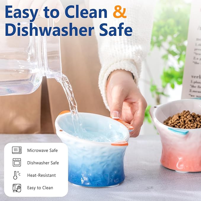 Tioncy 2 Pcs Raised Tilted Ceramic Cat Food Bowl Fish Shape Cute Elevated Slanted Shallow Angled Cat Dish Non Slip Feeder Bowl for Anti-Vomiting and Whisker Fatigue(Blue, Green)