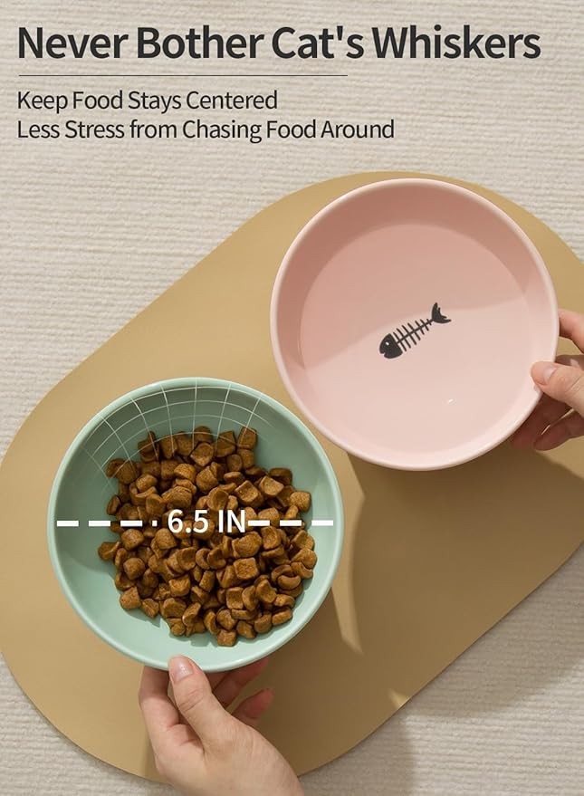OMAYKEY Extra Wide Raised Cat Bowls, 6.5 Inch Wide Ceramic Tilted Elevated Cat Bowl, Prevent Neck & Whisker Fatigue, Anti Vomit for Cats Puppies, Dishwasher and Microwave Safe, 2 Pack