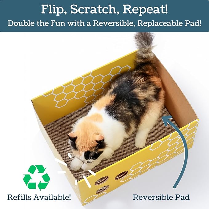 Heavy Duty Cardboard Cat Scratcher Box with Refillable Double-Sided Cat Scratching Board for Indoor Cats