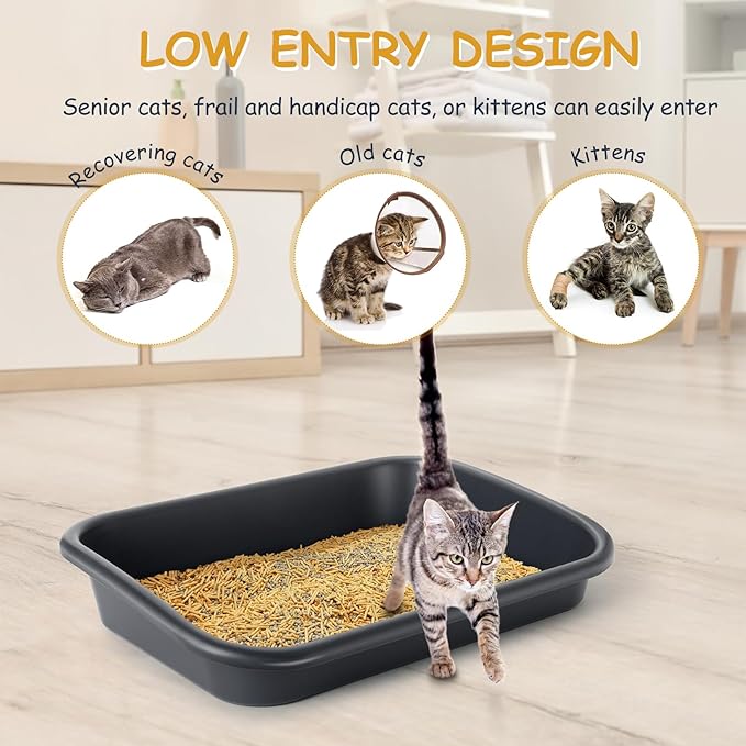 3 Pcs Large Cat Litter Box, Low Entry Senior Cat Litter Box Open Top Pet Litter Boxes Tray for Big Older Cats Kitten Sick Frail or Disabled Cat, 23.2" L x 16.5" W (Dark Gray)