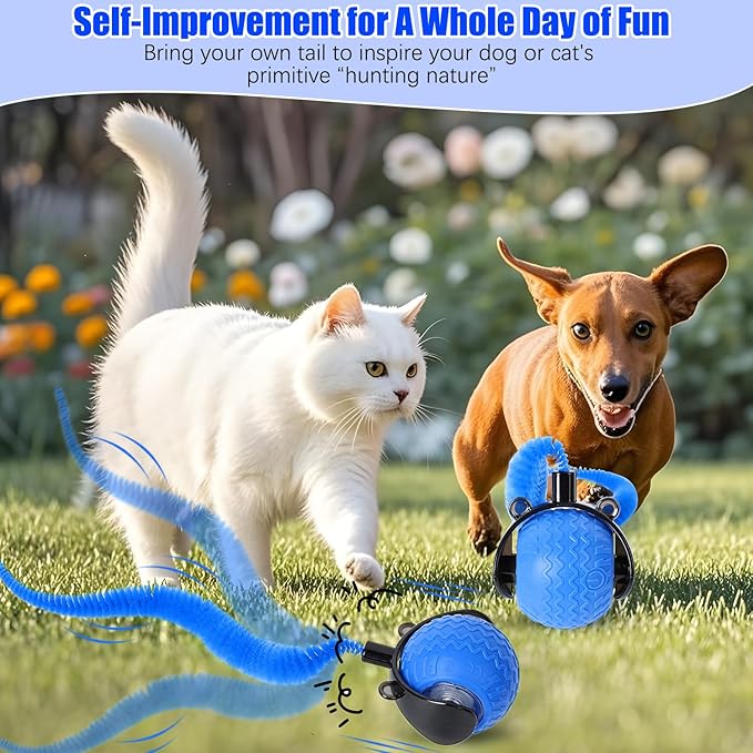 Cat Toys for Indoor Cats, Interactive Cat Toys for Bored Indoor Adult Cats, Automatic Speedy Ball Interactive, Electronic Rollie Pet Chase, Smart Interactive Tail Balls for Kittens (Blue)