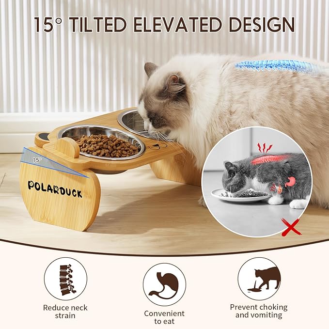Tilted Elevated Cat Food Bowls Set: Raised Pet Dishes for Cats & Puppy with 15°Tilted Bamboo Stand, Stainless Steel Food & Water Bowl and Pet Feeding Mat | Anti Vomiting (2 Bowls | Red Panda)