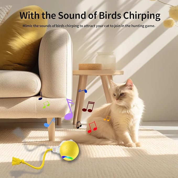 Interactive cat Toys for Bored Indoor Adult Cats. Motion Activated, RGB Lighting, 3 Motion Modes. Kitten Toys for Indoor Cats self Play