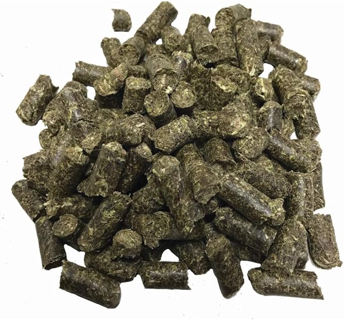 from The Field | No Mess Catnip Pellets – Bulk 1 Pound Bag | Compressed, Potent USA-Grown Catnip & Silver Vine | Resealable Bag | Safe for Play & Nibbling | Long-Lasting, Eco-Friendly Cat Treat