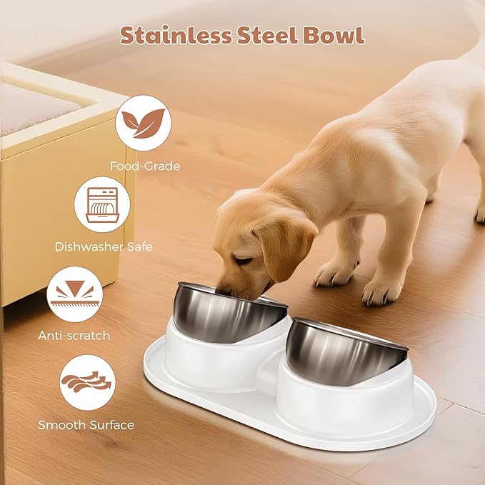 Tilted Elevated Cat Bowls, Dog Water and Food Bowl Set Anti Vomiting, Stainless Steel Pet Bowls with Base, Non-Slip Pet Feeder Bowls for Puppy Small Dogs Cats