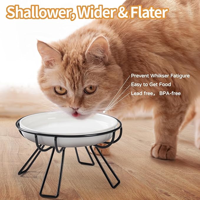 Presents The Ultimate Cat Dining Set: 5.9 inch Ceramic Water Bowl and Whisker-Friendly and Anti-Vomiting Plates.Elevated Bowl, Raised Ceramic Dish with Metal Stand