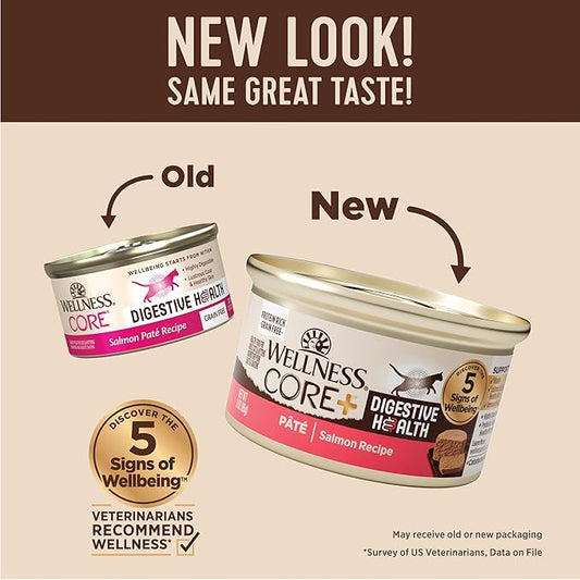 Wellness CORE+ Digestive Health Pate Adult Wet Cat Food, Natural, Protein-Rich, Grain Free, 3 Ounce, 12 Pack (Salmon)