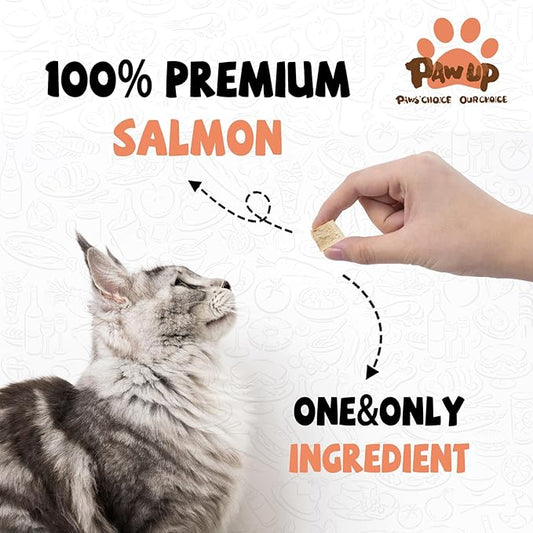 Freeze Dried Salmon Cat Treats, Single Ingredient Raw Cat Food Toppers, Healthy Training Treats for Dogs, Cats, 3.8 oz