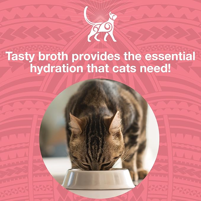 KOHA Pure Shreds Chicken and Salmon Entrée for Cats, High Protein Wet Cat Food, 5.5oz Cans (Pack of 12)