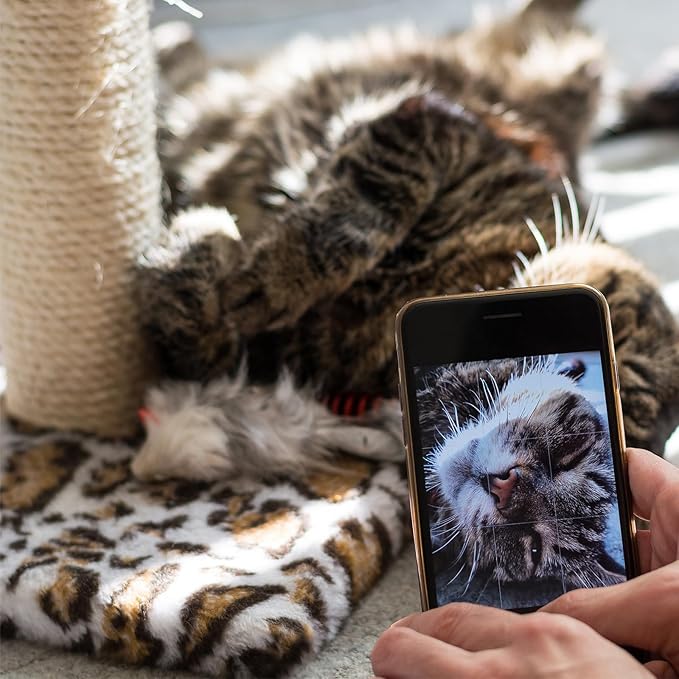 Natural Sisal Rope for Cat Scratcher 1/4 Inch by 50 Feet, Cat Tree Rope Twine for Cat Scratching Post Replacement, Cat Tower with Scratch Post Repairing, Replace, Recovering and DIY, Natural