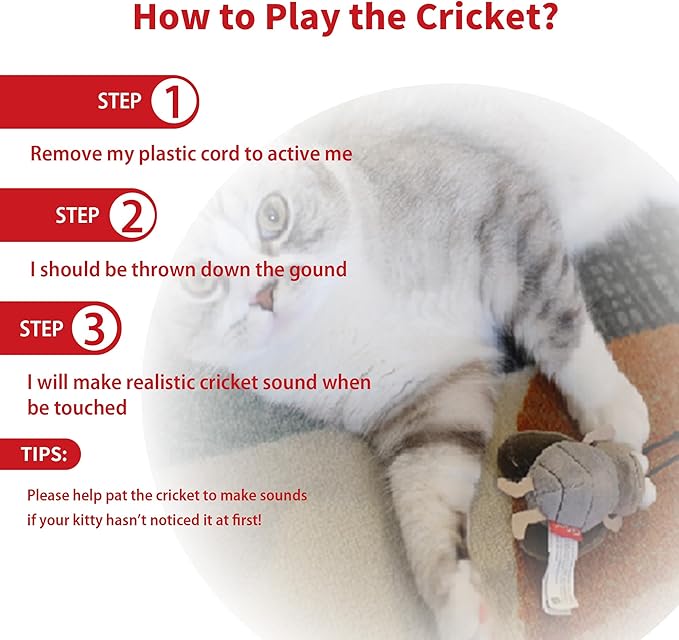 PETGEEK Gigwi Simulated Chirping Bird Cat Toy, Fake Toys for Indoor Cats, Melody Chaser Cat Toys with Hanging Loop for Bored Indoor Adult Cats Kittens Interactive Play (Cricket)