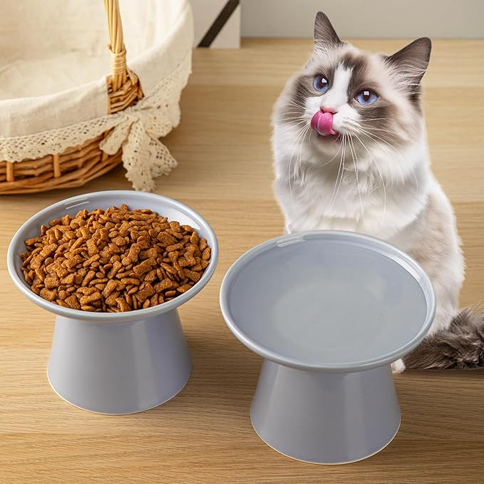 6.2 Inch Extra Wide Elevated Ceramic Cat Bowls, Food and Water Bowl Set for Elder Big Cats Small Dogs, Raised Design for Pet Easy Eating, Protect Cat's Spine Set of 1(Light Purple)