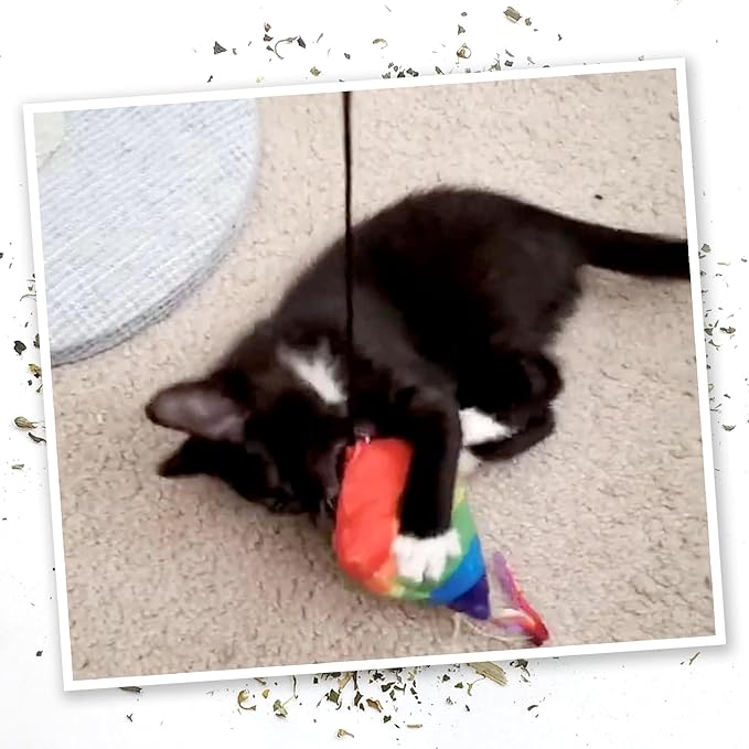 Meowijuana Get Higher Bundle | Get Higher Kite Refillable Toy, King Size Catnip Joints, and Whisker Tickle | Hand Harvested and Rolled Dried High Potency Catnip | Grown in North America