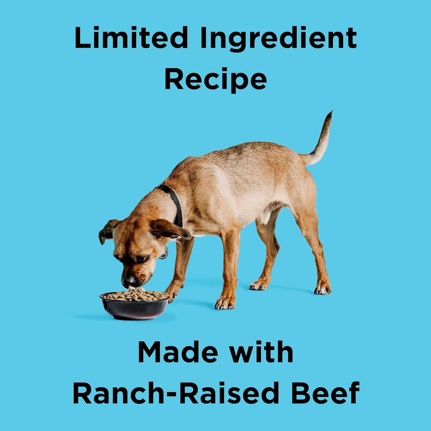 BIXBI Liberty Grain Free Dry Dog Food, Beef, 4 lbs - Fresh Meat, No Meat Meal, No Fillers - Gently Steamed & Cooked - No Soy, Corn, Rice or Wheat for Easy Digestion - USA Made