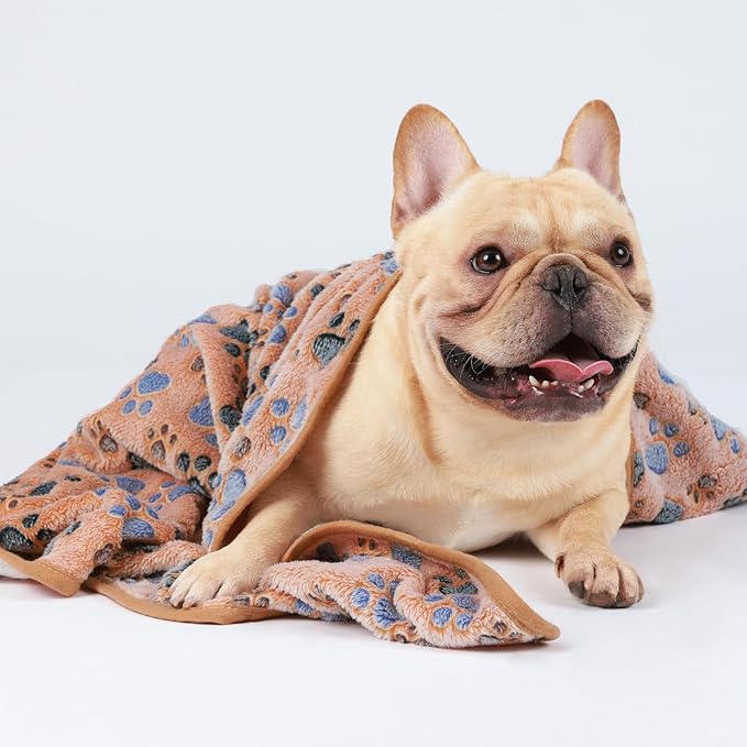 1 Pack 3 Blankets Super Soft Fluffy Premium Fleece Pet Blanket Flannel Throw for Dog Puppy Cat Paw Brown Small(23x16 inch)