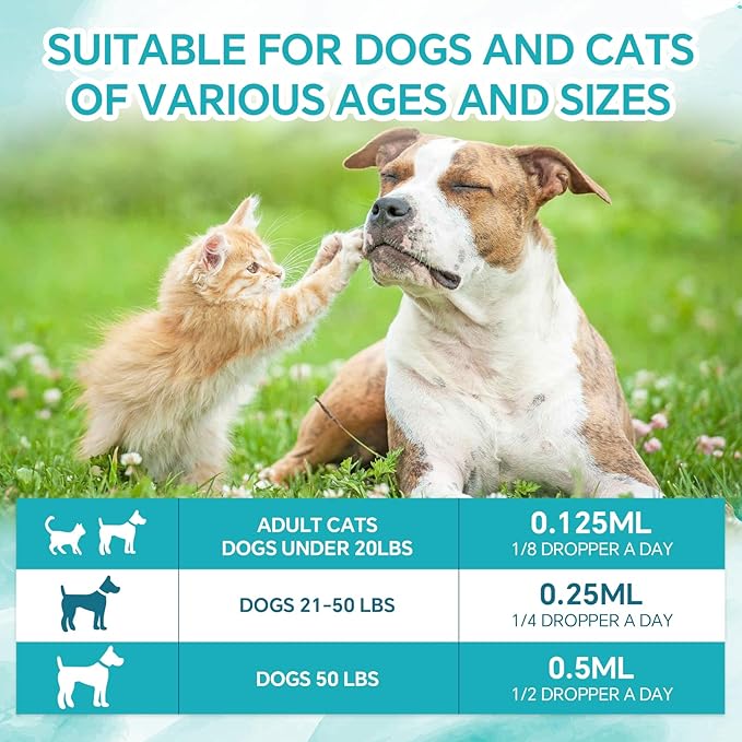 Hemp Oil for Dogs and Cats - Hemp Oil Drops Rich in Omega 3, 6, 9 and Organic Extract Helps Pets with Аnxiеty, Pаin, Strеss, Slееp, Аrthritis, Sеizures Rеlief, Pets Calming Treat-1 Pack