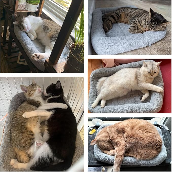 Cat Bed Washable Indoor Cat Cushion Bed, Soft and Cozy Plush Pet Bed-M