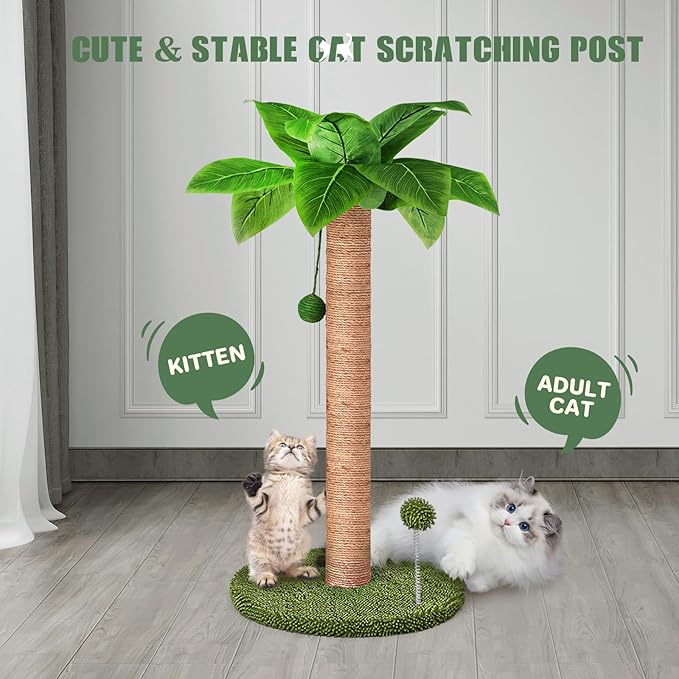 Dohump Cat Scratching Post, 26" Kitten Scratching Post with Premium Sisal Rope, Cute Cat Tree with Dangling and Spring Ball Toys for Indoor Small Cats