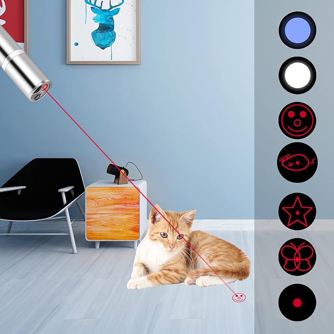 2 Pcs Cat Toy Laser Pointer Fun Playing Training Indoors Interactive Toys Presentation Clicker Pointer Teaching Pen USB Recharge 7 Adjustable Patterns Pet Chase Toy (Double)
