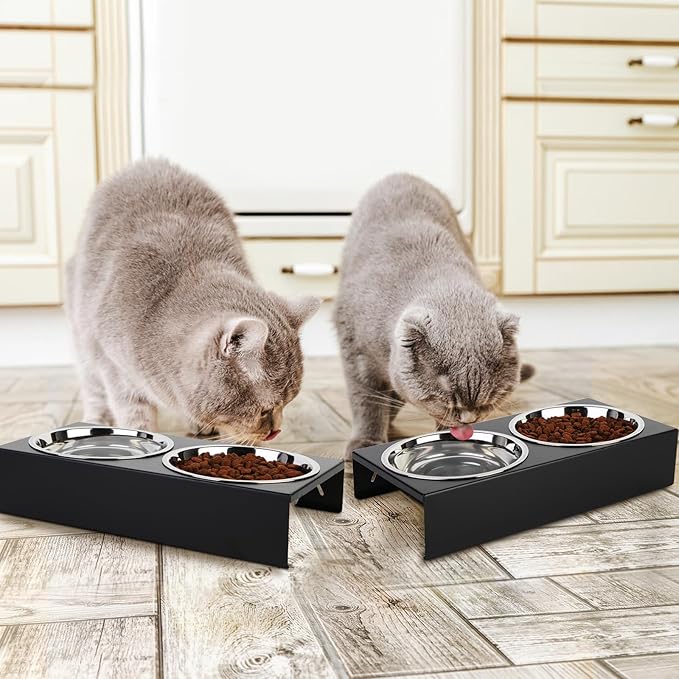 2 Pack Cat Food Bowls - Indoor Set with Metal Stand,5° Tilted Anti Vomiting Wide Raised Pet Dish,Cute Elevated Cat Feeding Station for Food Water, 4 Stainless Steel Bowls for Multiple Kitten,Puppy