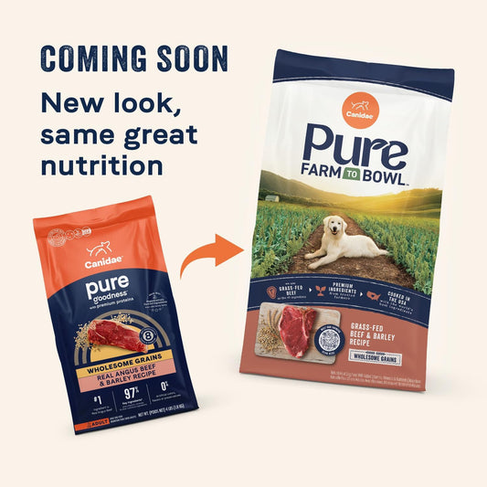 CANIDAE Pure Limited Ingredient Premium Adult Dry Dog Food, Real Beef & Barley Recipe, 4 lbs, with Wholesome Grains