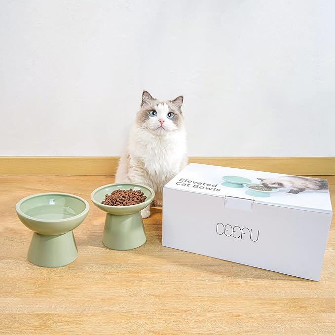 Extra Wide Elevated Ceramic Cat Water Bowl - 6.2" Deeper Dish for Whisker Fatigue Relief, 5" Height for Easy Feeding, Lead & Cadmium Free, Durable Raised Cat Bowls, Green