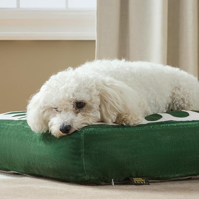 TOWN & COUNTRY LUXE CuddleTown Matisse Everwash® Pillow Pet Bed, Water Repellent Floor Pillow, Machine Washable Cover, Soft & Calming, Green, Medium 36"x28"x4"