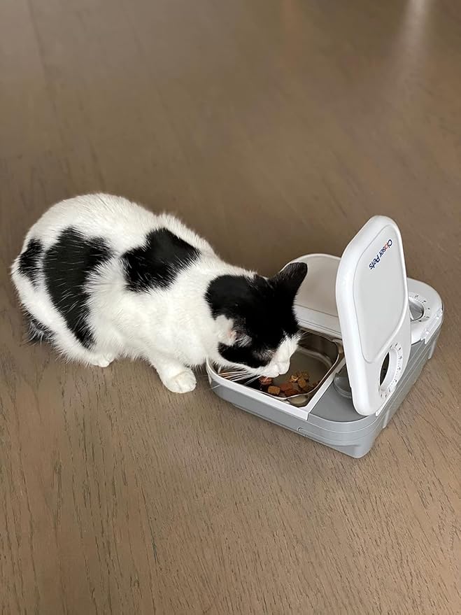 Closer Pets C200 2 Meal Timer-Controlled Automatic Pet Feeder - for Cats and Small Dogs, Wet or Dry Food, Stainless Steel Bowl Inserts and Ice Pack, up to 0.88 lb Each, White