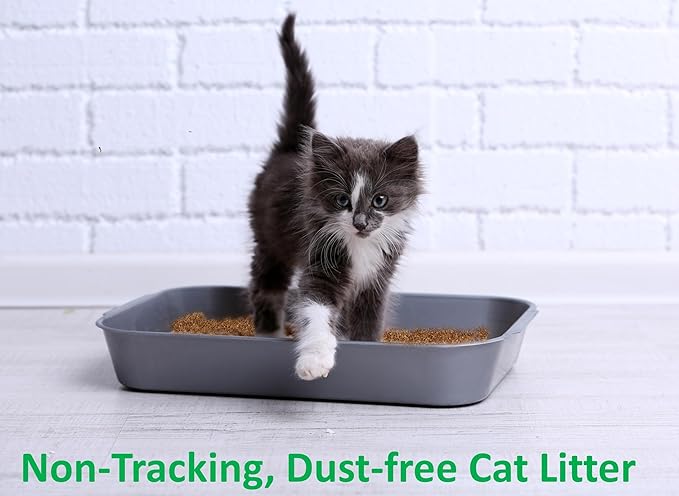 Coconut Cat Litter – Natural, Ultra-Lightweight & Biodegradable – 3.5 Lb Lasts Like 40 Lb Clay – Activated Charcoal Odor Control – for Cats, Chicken Coop & Small Pets