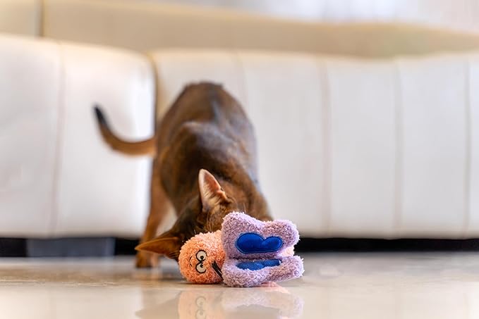 Interactive Catnip Cat Plush Toy, Insect Theme, 5'', for All Breed Size Cats (Butterfly)