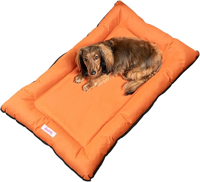 DBD3004B-M Archie 29.5" x 22.5" Traditional Oxford Waterproof Indoor/Outdoor Hand-Washable Memory Foam Camping Pet Bed, Tangerine