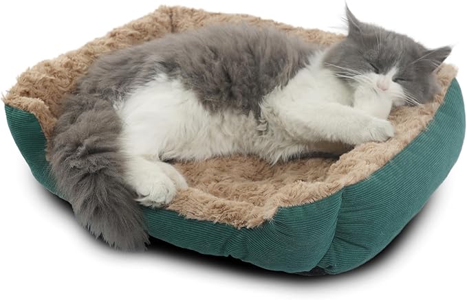 Dog Beds for Extra Small Dogs Washable, Cat Beds for Indoor Cats Super Soft 18"X14" Rectangle Anxiety Kitten Pet Bed with Anti Slip Bottom Plush Snuggler Puppy Sofa Up to 10 Lbs,Green