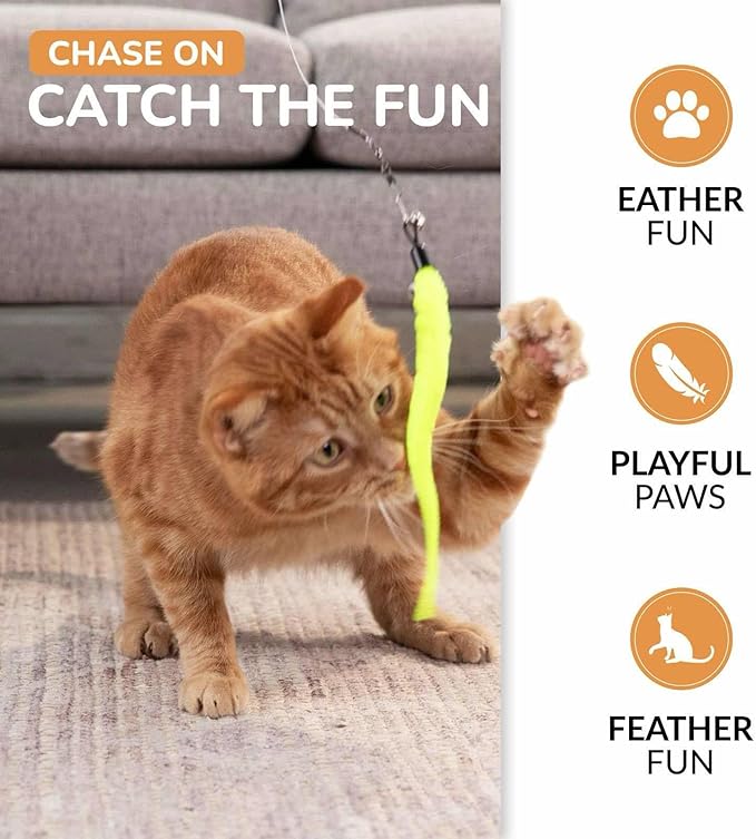 PAWSITIVE Interactive Cat Toys - Retractable Feather Wand with Refill Set 12PCS - Perfect for Indoor Cats to Chase, Exercise & Bond with Their Owners