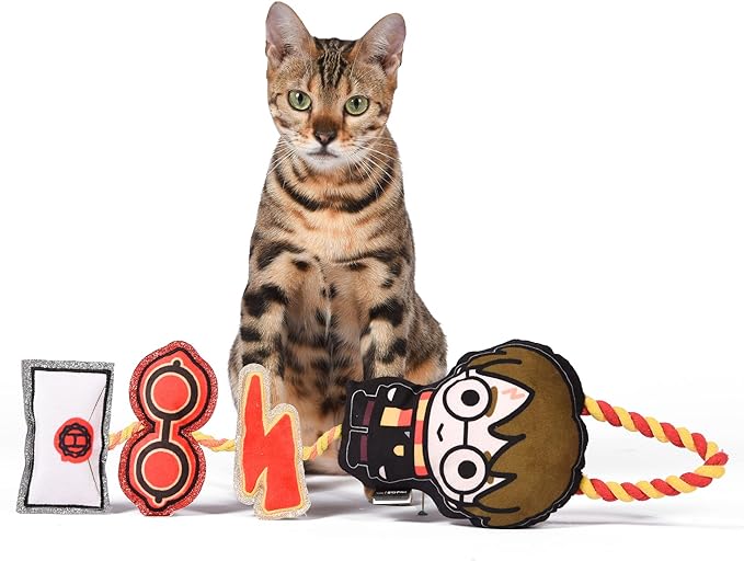 Harry Potter Cat Toy, Door Hanger with Catnip | Door Hanger Cat Toy with Harry Potter, Lightning Bolt, Glasses, and Hogwarts Invitation Plush with Catnip Components on Rope
