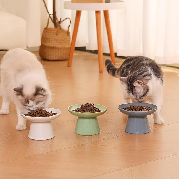 Extra Wide 6.1" Raised Cat Food Bowl, Shallow Ceramic Elevated Cat Feeder, Anti Vomiting, Stress Free, Whisker Fatigue, Pet Food or Water Bowl, White