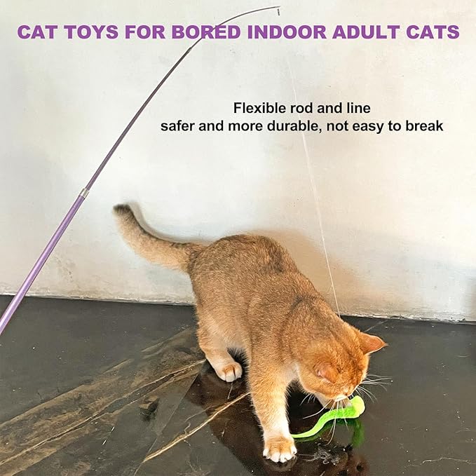 11PCS Cat Wand Toy, Cat Interactive Toys for Indoor Cats, 2 Retractable Cat Wand, 7 Worm Cat Teaser Toys and 1 Plush Fish Cat Toy, Cat Feather Toys for Play Chase Exercise with Kitten, Extra 1 Line
