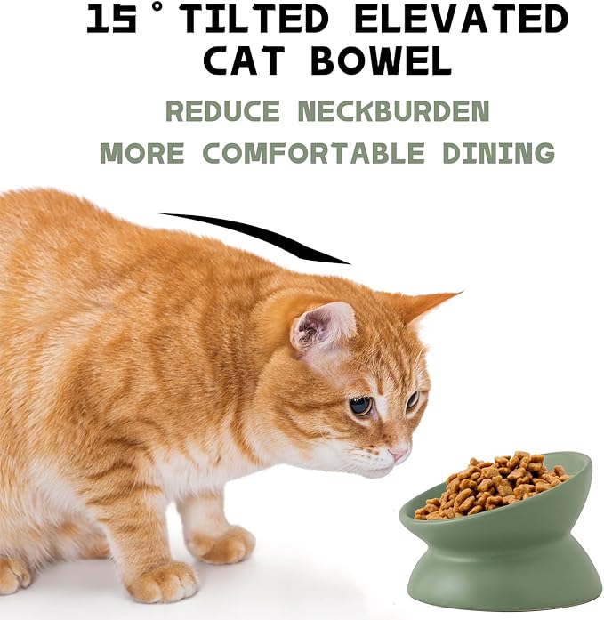 Ceramic Raised Cat Bowl, Cat Food Bowls Elevated Tilted, Ceramic Pet Bowl Whisker Friendly, Anti Vomit & Reduce Neck Burden for Food and Water (Green)
