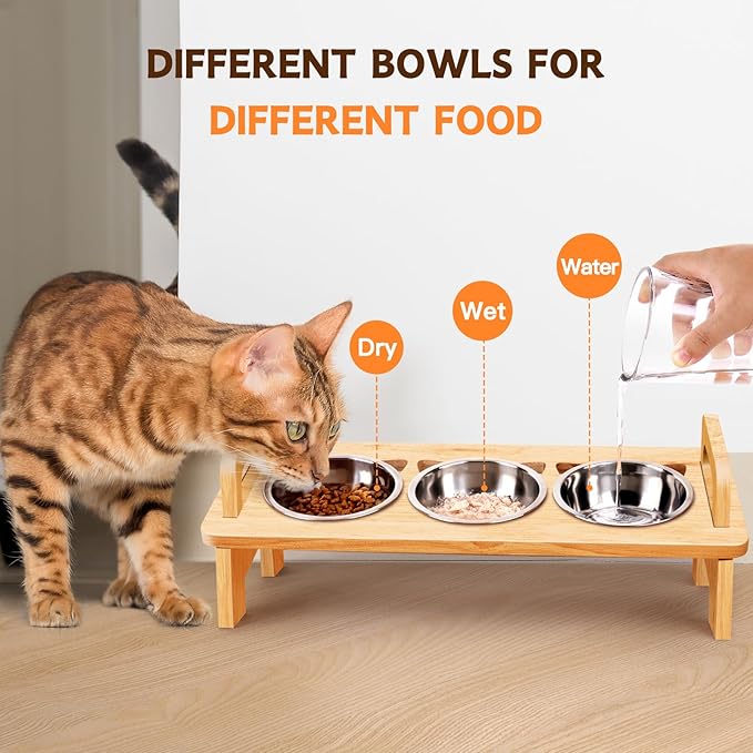 Elevated Cat Food Bowl, 3 Stainless Steel Raised Cat Bowls with Stand, 15°Tilted Cat Bowl for Small Dog, Cat Food and Water Bowl Set, Anti Vomitting, Whisker Fatigue and Dishwasher Safe - Natural